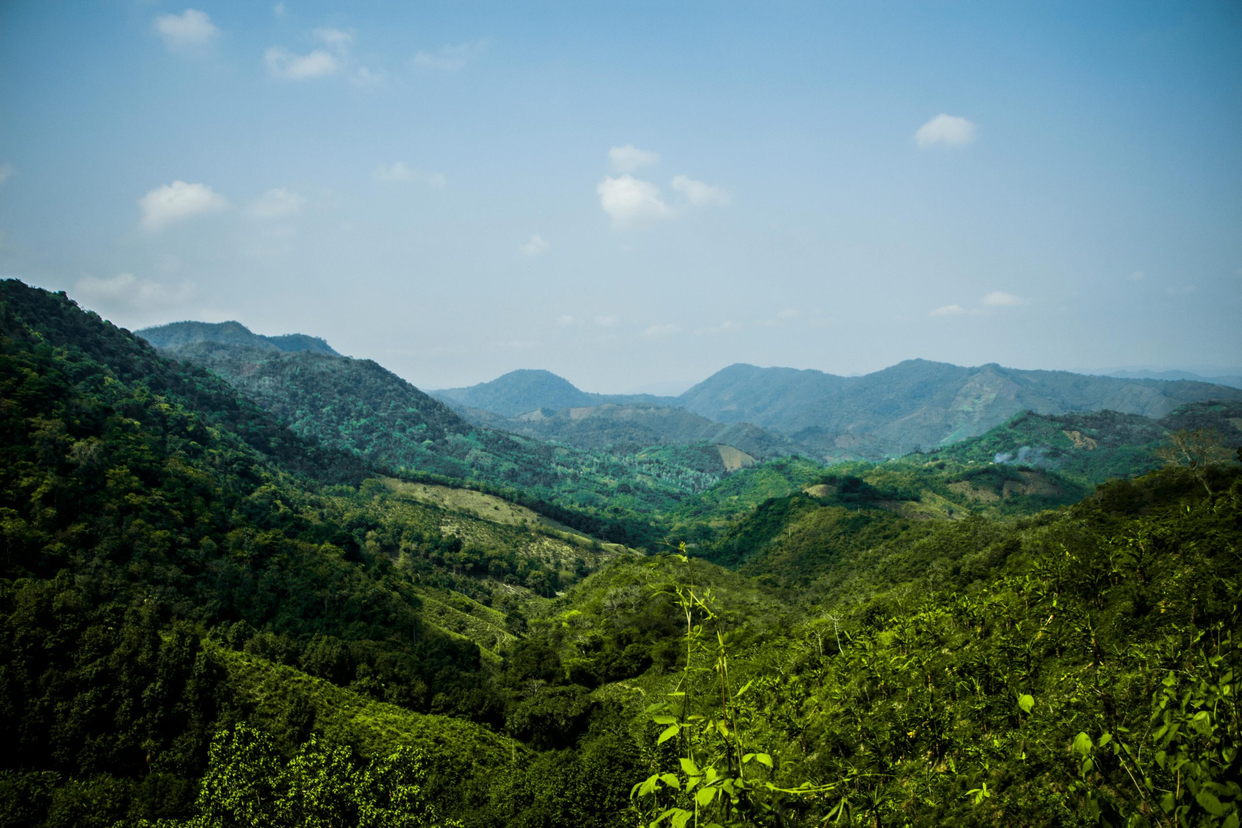 The Best Eco-Friendly Travel Spots for Sustainable Adventurers