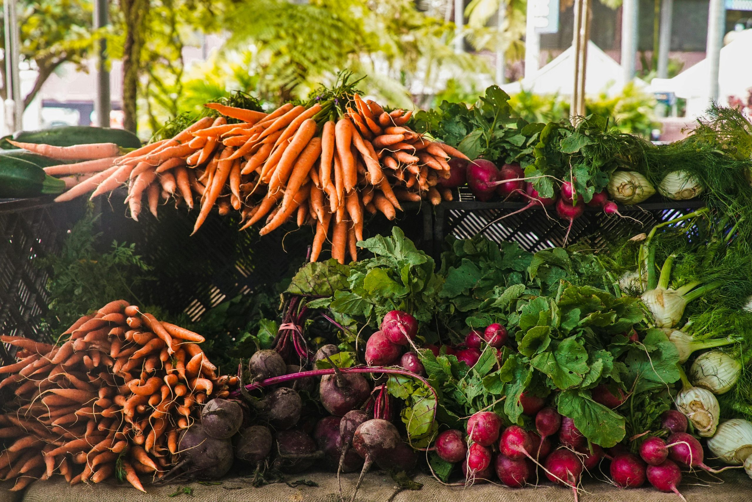 Farm to Table: How Local Sourcing is Changing the Way We Eat